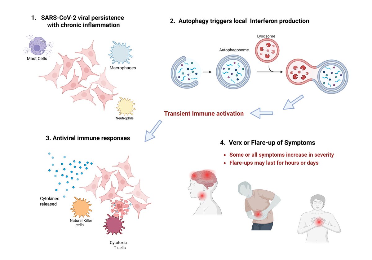 Bunk the Biologist tweet media