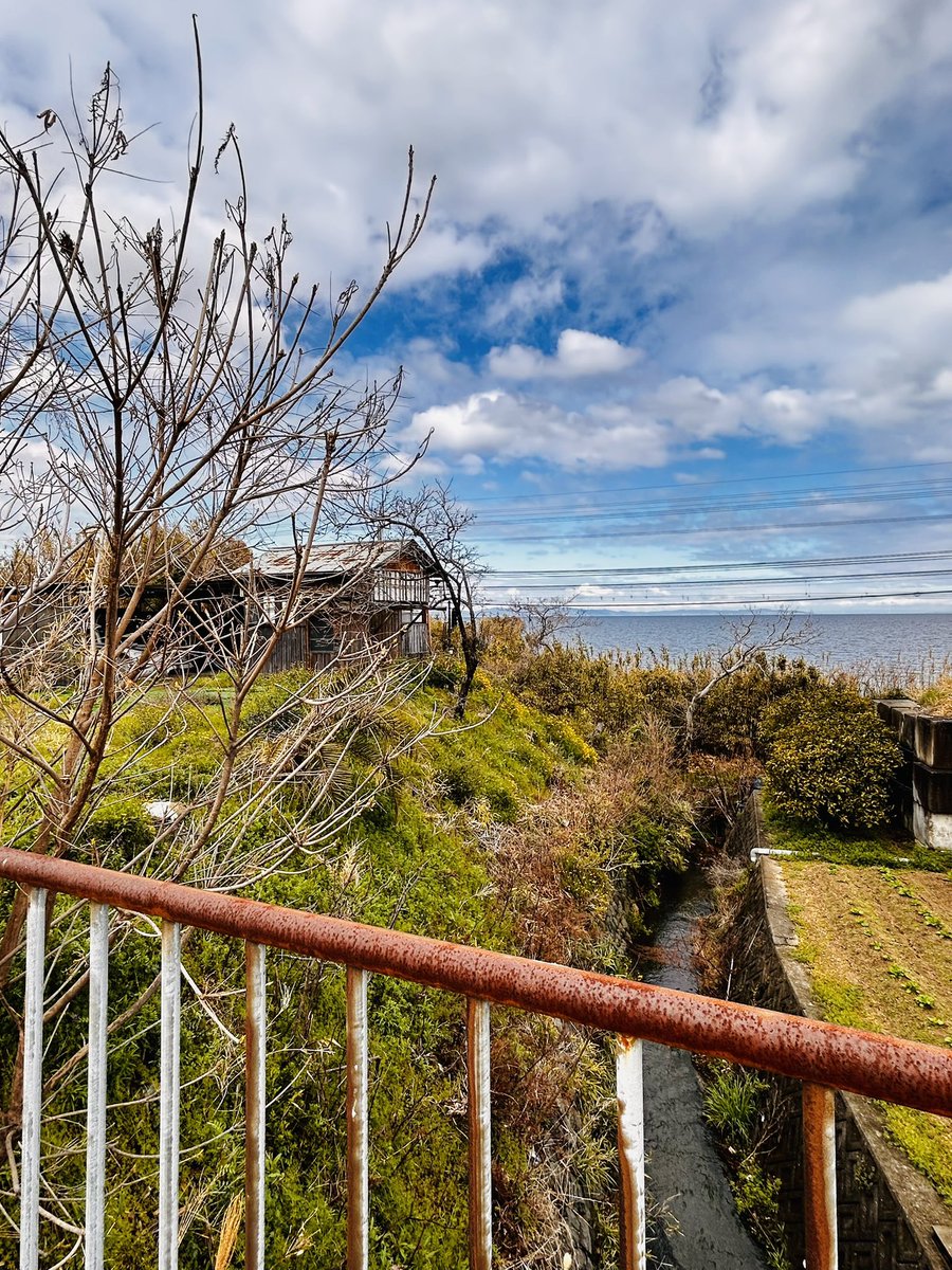 レイパナ🦊❤️🔥🥽🪶🌧🐬🌸🌃🍓🐧 tweet media