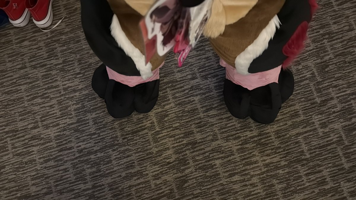 ✨Robotic Creature✨@TFF26 tweet media