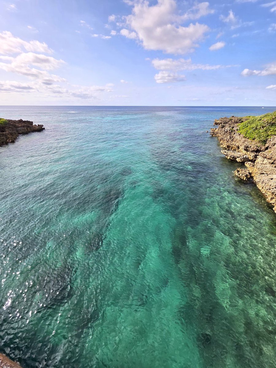 れれんぽ🐾 tweet media