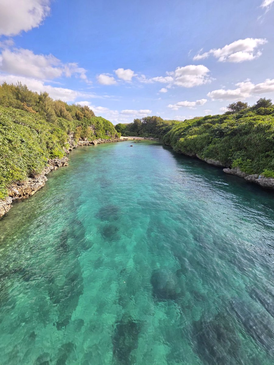 れれんぽ🐾 tweet media