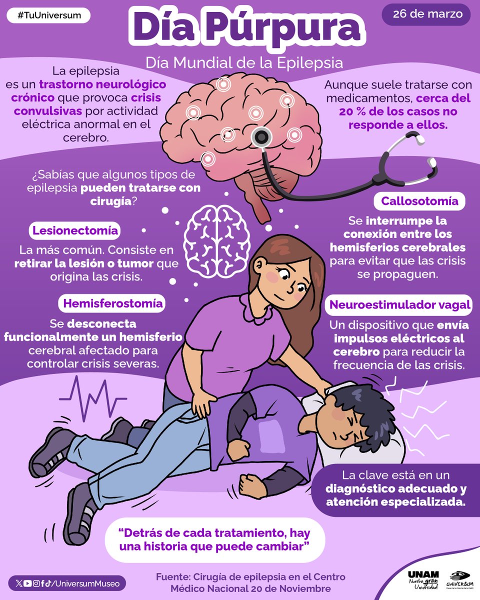 Universum Museo tweet media