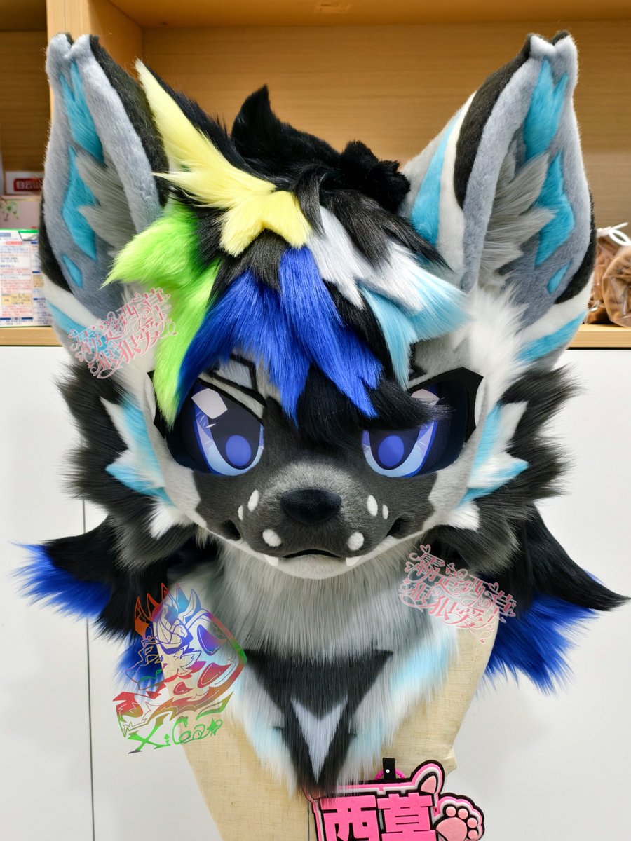 西草Xicao tweet media