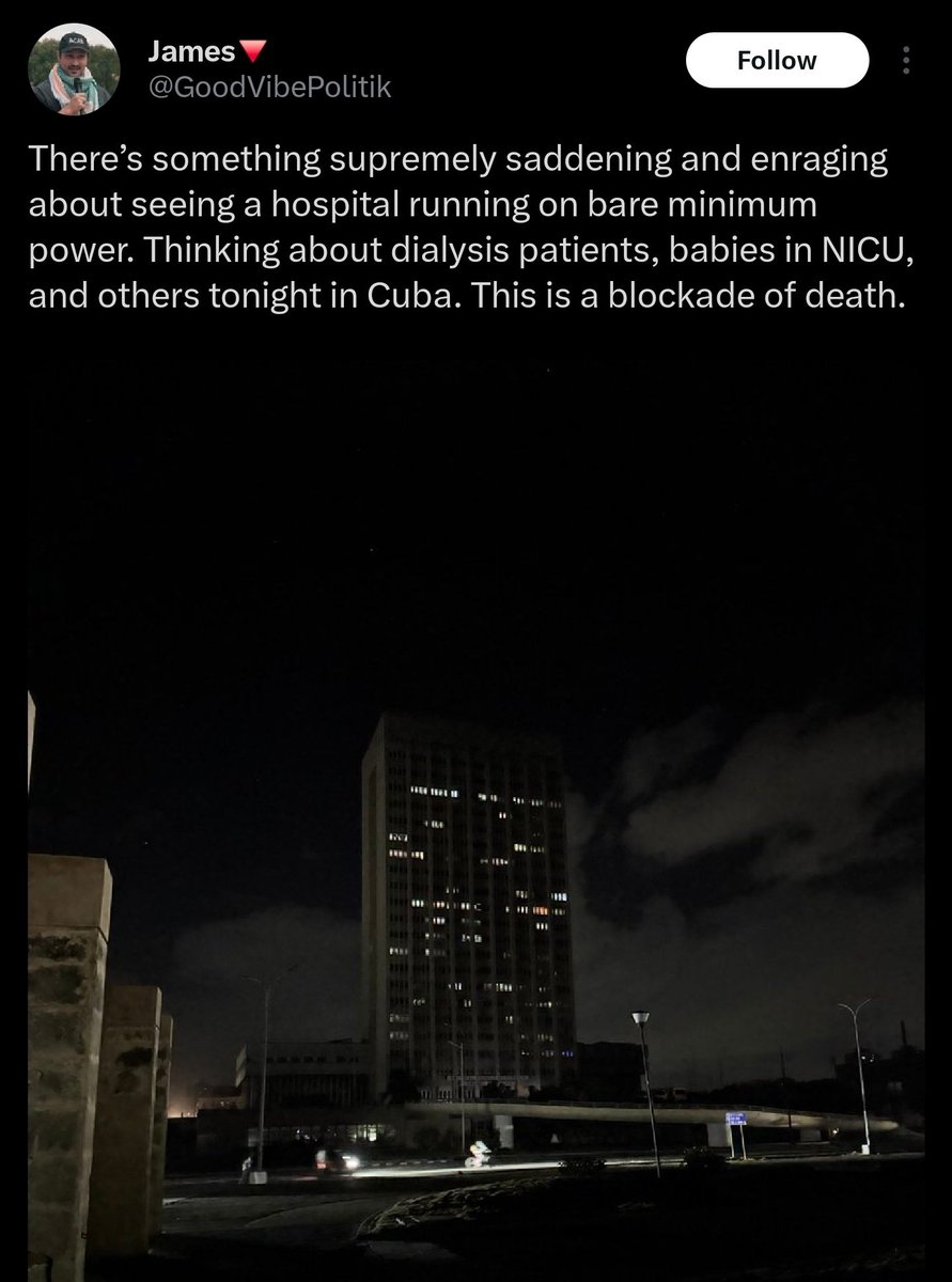 Rogue Stereo 🍄 tweet media