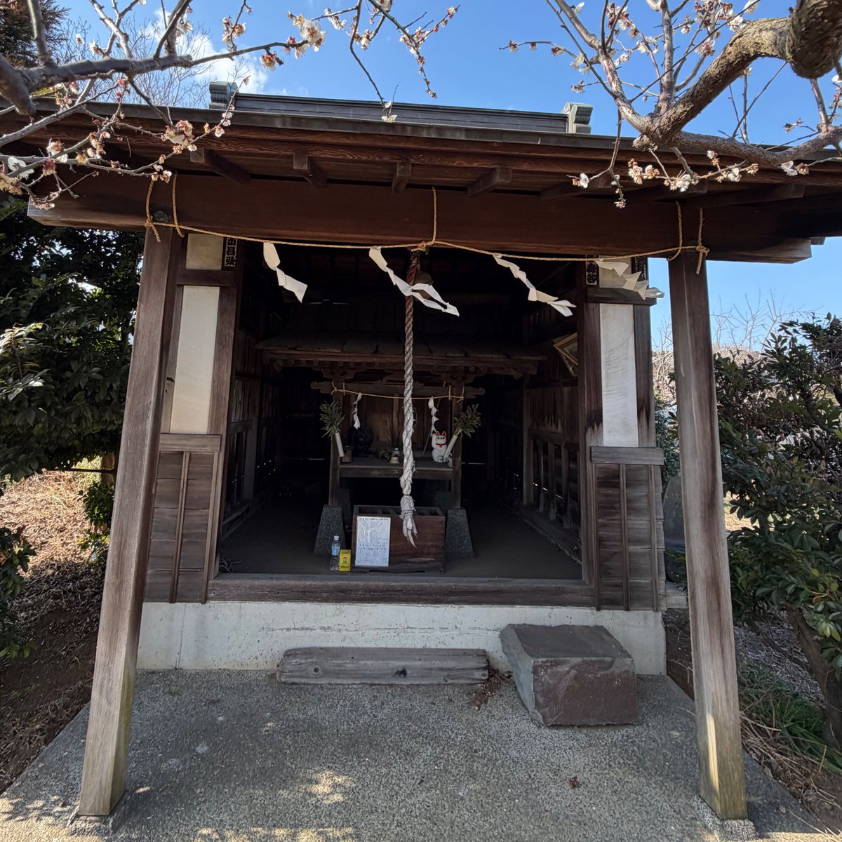 My Playful Town（MPT）-伊勢原市内在学中の大学生による町の楽しみ方- tweet media