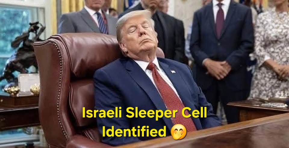 D-Squared tweet media