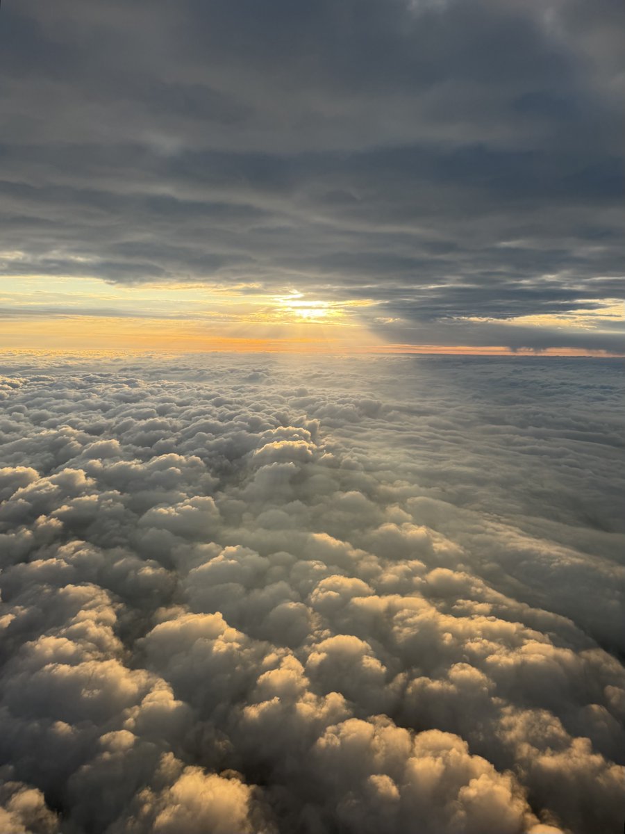 Ryan Shrout tweet media