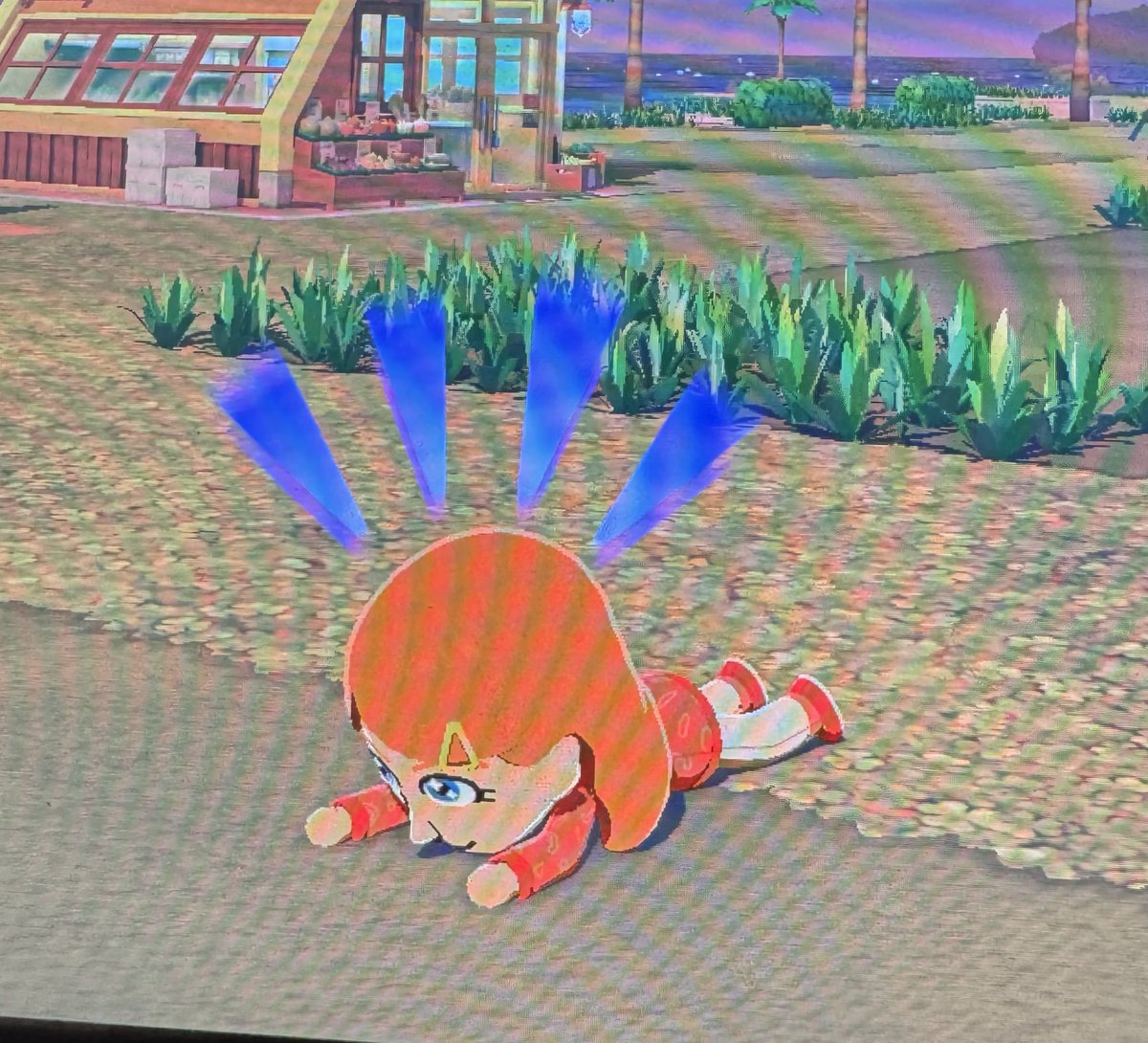 corvo / caspian!🕷️👁️🐑 tweet media