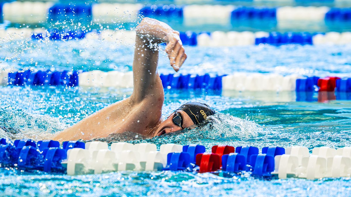 uncwswimdive tweet media
