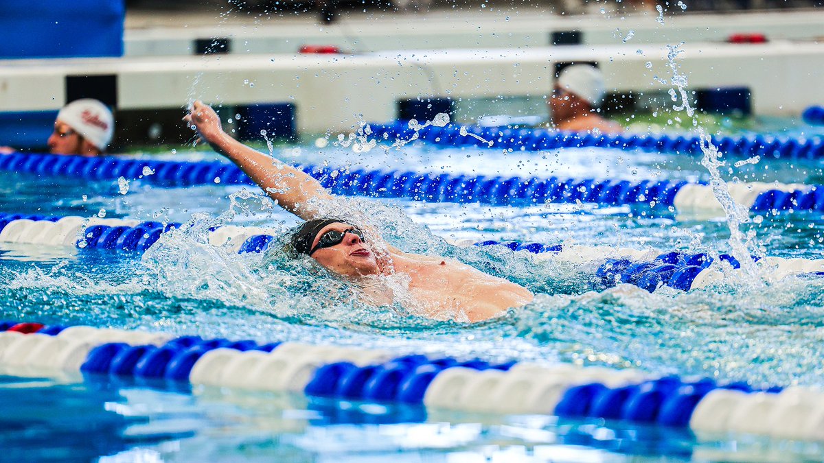 uncwswimdive tweet media