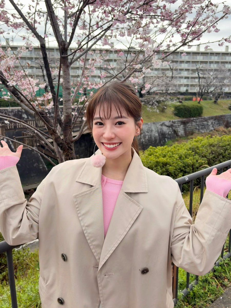 ドデスカ！（メ～テレ）【公式】 tweet media