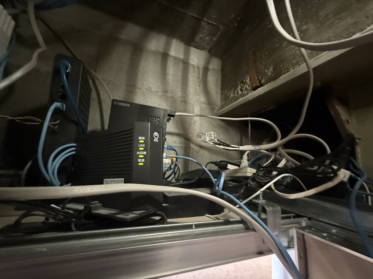 mayanon@ tweet media