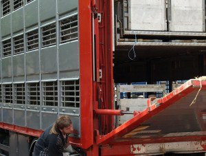 proplanta.de tweet media