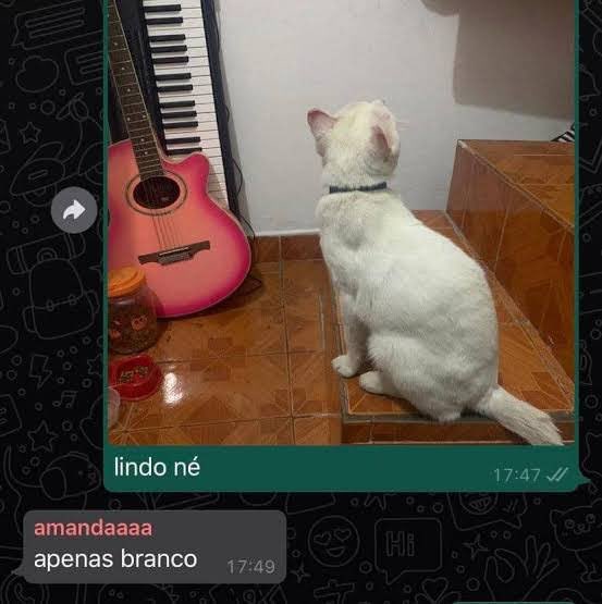 Terrence tweet media