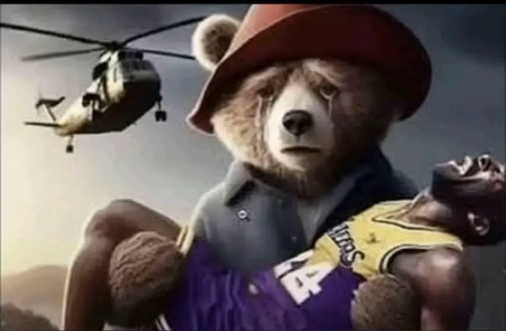 bobsticles 🏳️⚧️ tweet media