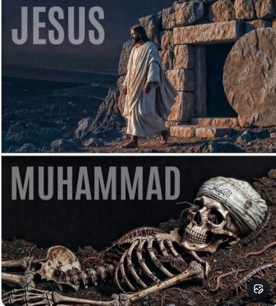 RedPillEagle tweet media