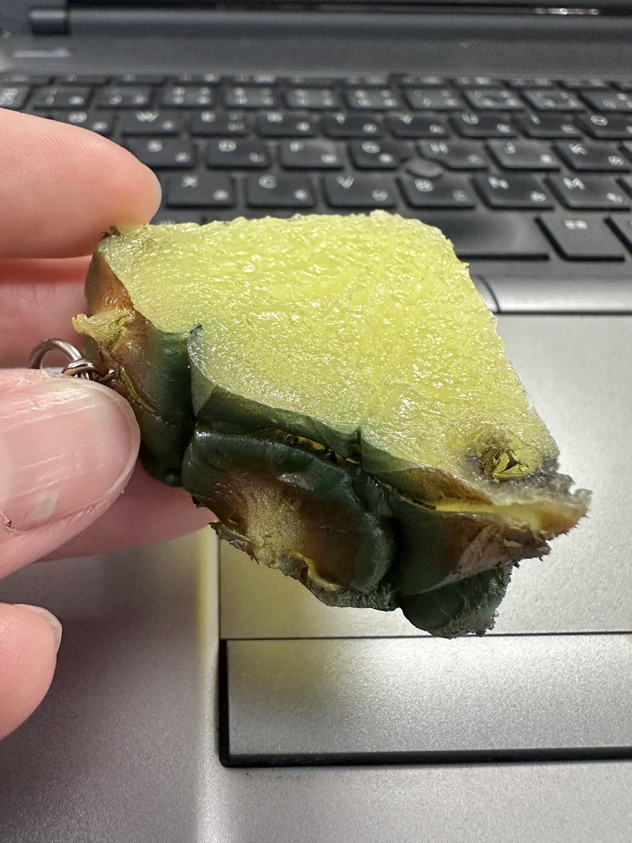 (株)パインクリエイト🎤愛知県 カラオケ商社 tweet media