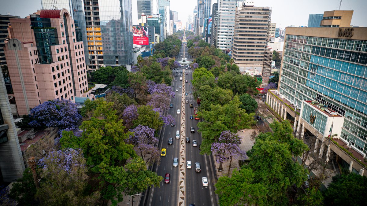 Visit México tweet media