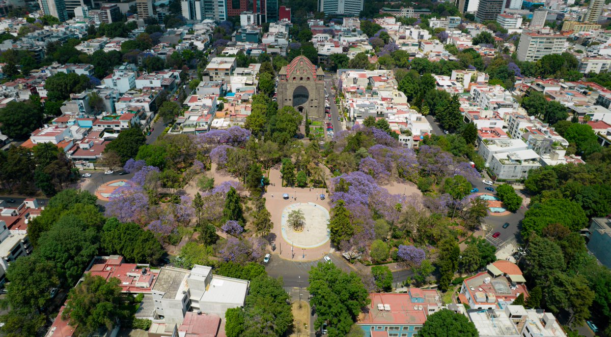 Visit México tweet media