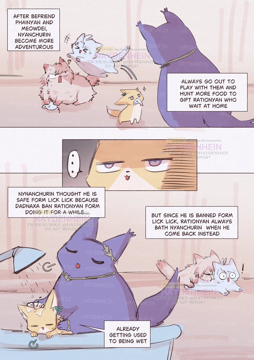 HAYDENHEIN tweet media