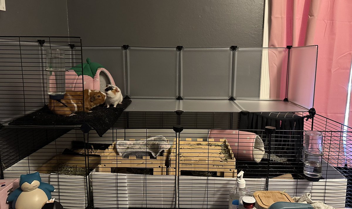 navi 🎀✖️vamptuber tweet media