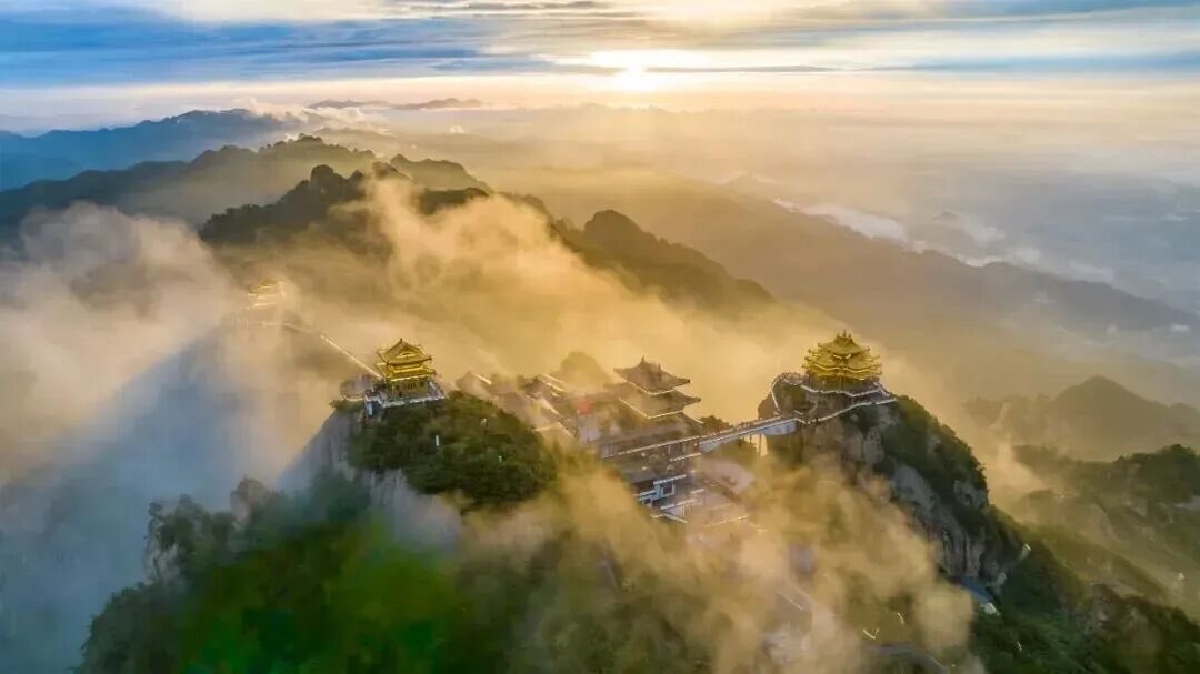 inLuoyang tweet media