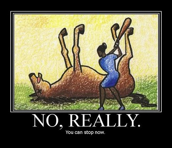 Fried Steak🇮🇩 tweet media