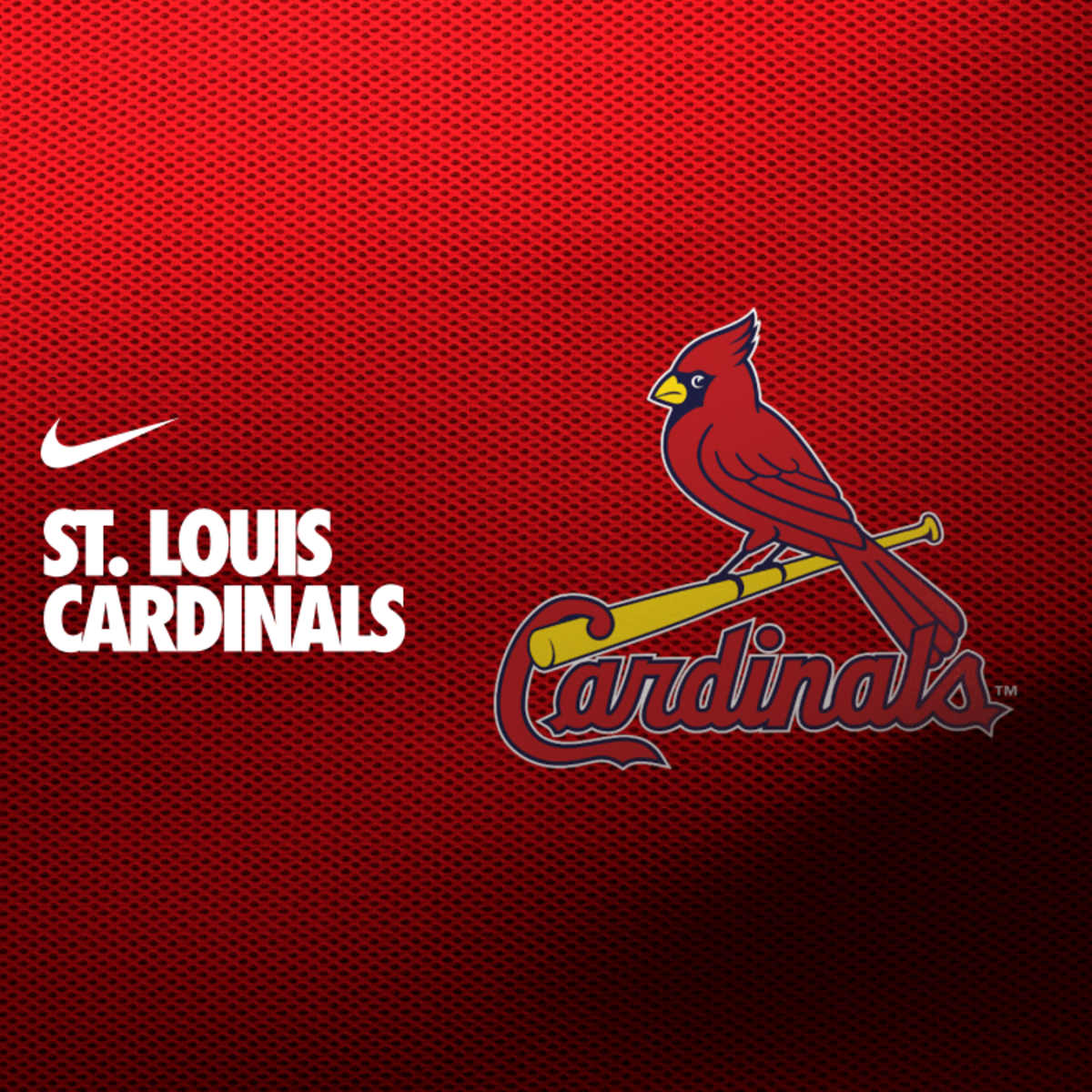RickyAurora0915's tweet image. Cardenales de San Luis: están entre competir y renovarse, llega May en aras de acompañar a Grey, Mikolas y Matz por la rotación, Goldschmidt, Donovan y Nootbar más Walker son la columna vertebral en ataque. Otro conjunto que desea redimirse luego de un 2025 nefasto, ¿Podrán?