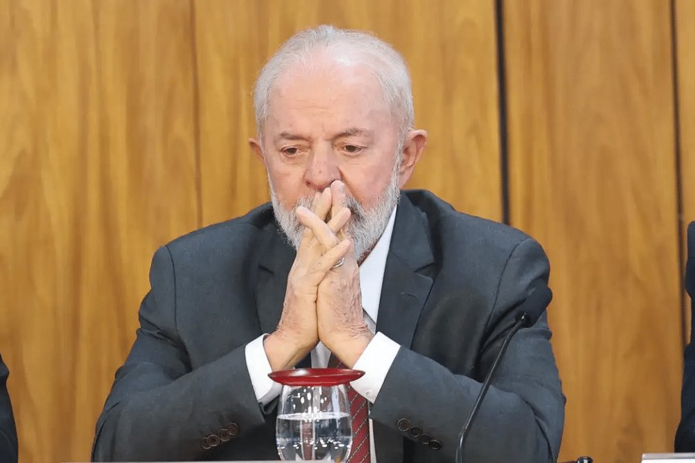 Chequei Ancap tweet media