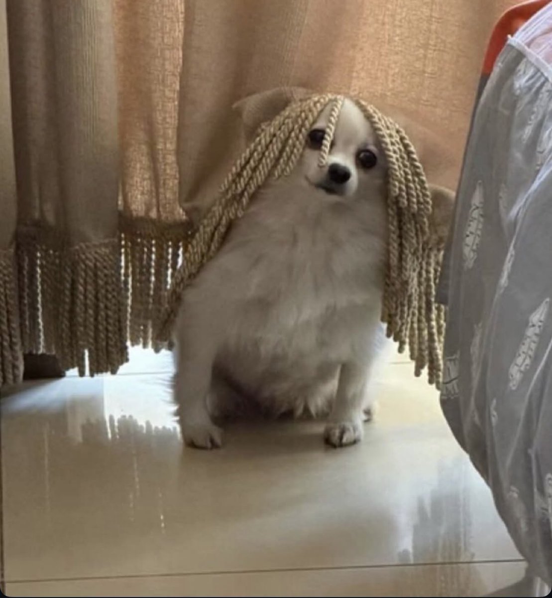 𝒮𝒶𝓃𝒹𝓇𝒶💛🌼 tweet media