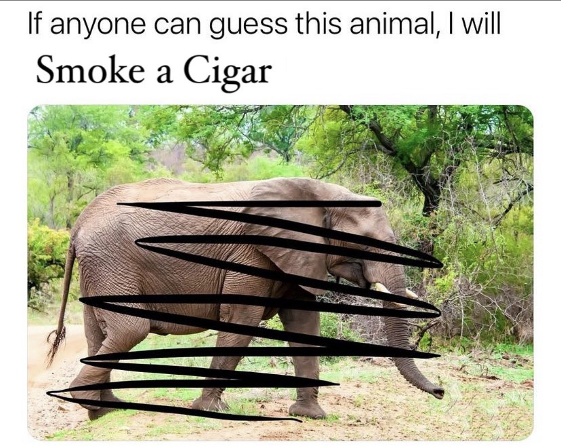 TheSilverLeo tweet media