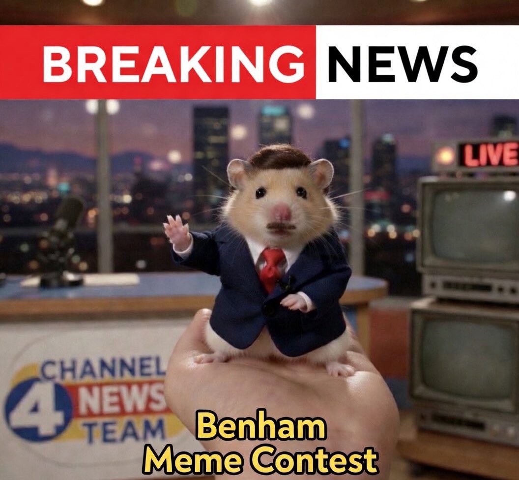 LIL HOWL⚡️ tweet media