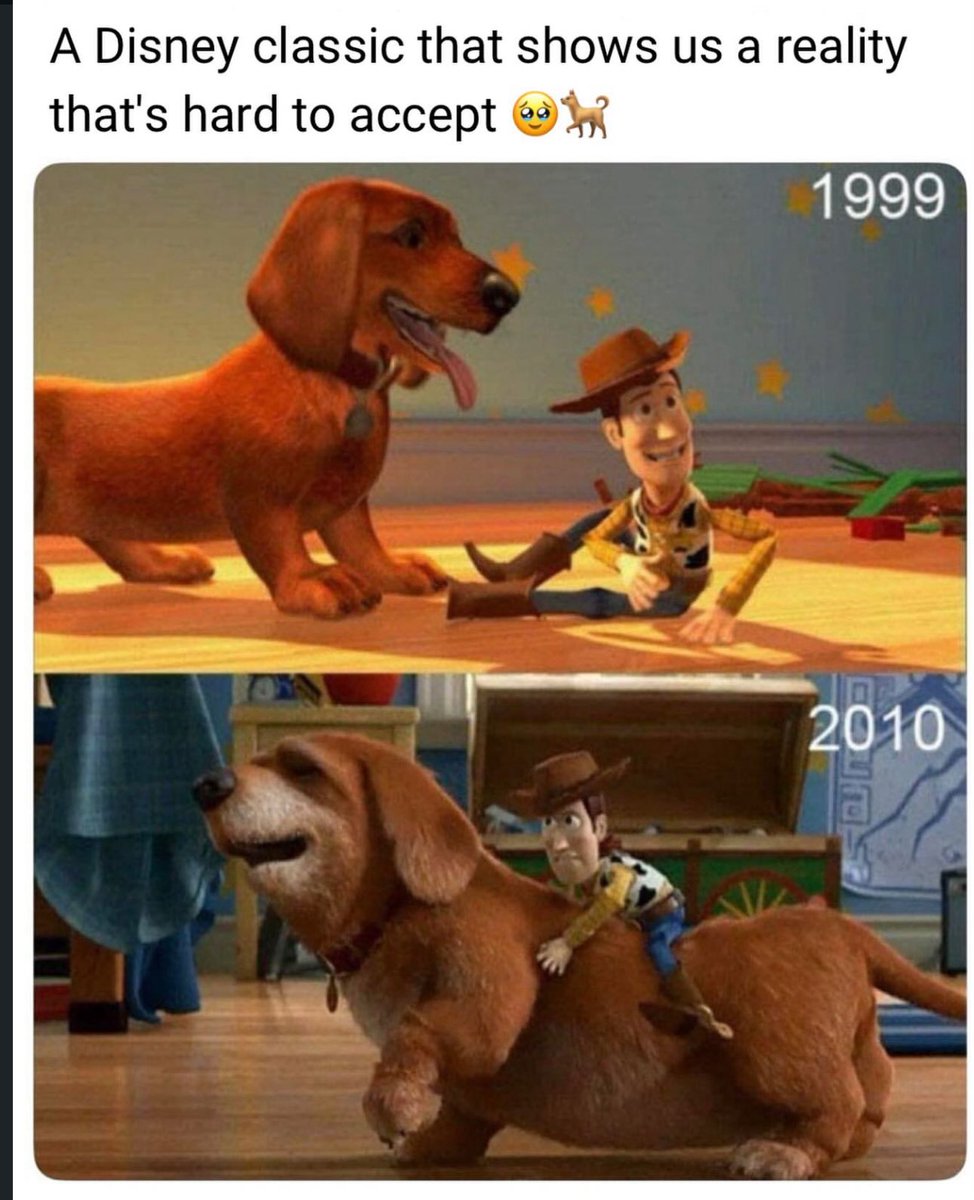 Puppies 🐶 tweet media