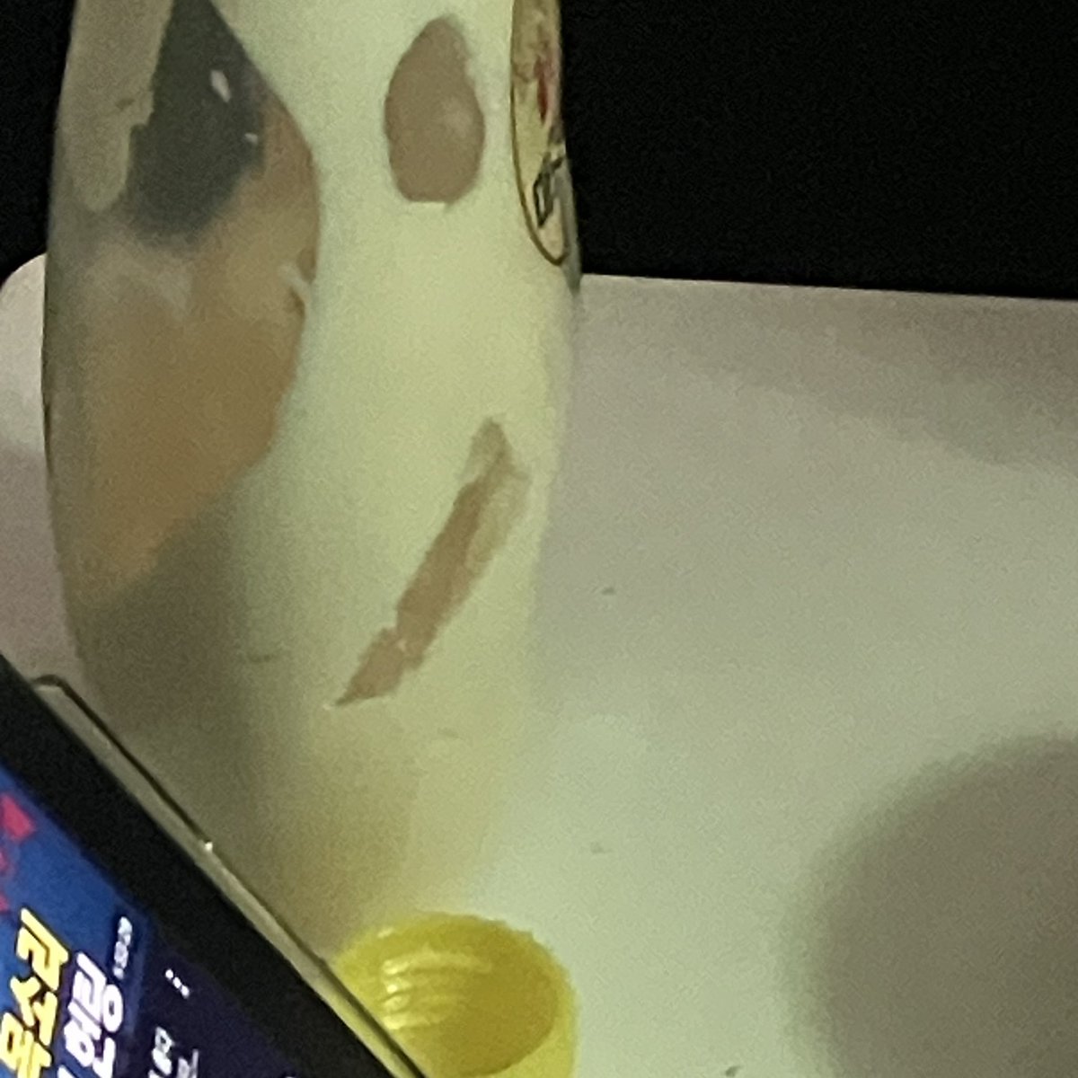 박삼천 tweet media