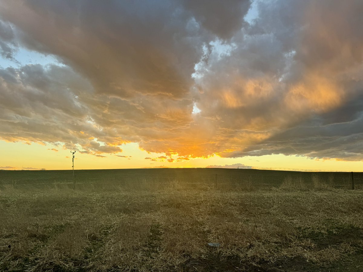 Marc Oster tweet media