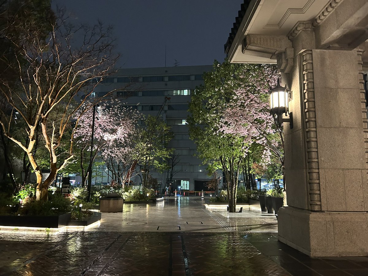 kumashinkou's tweet photo. BGで使えそうな写真撮れた https://t.co/KbaHhK6TW5