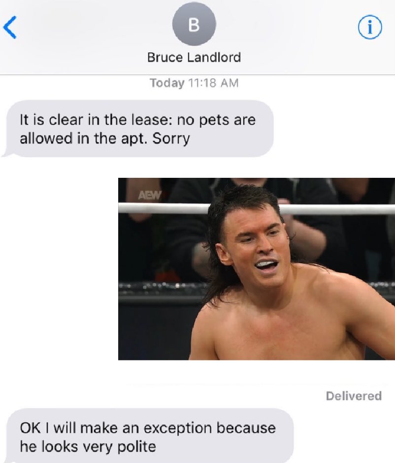 sodo aka young bucks fans usa tweet media