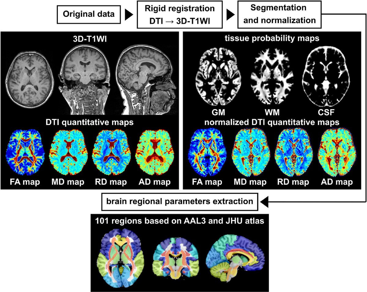 LesenUndTeilen©  🌍 🇪🇺 tweet media