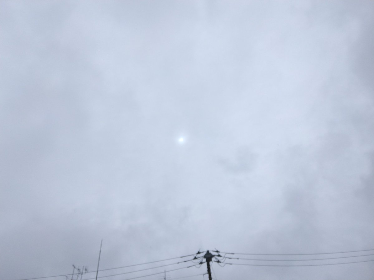 綾樫(あやかし)パッション tweet media