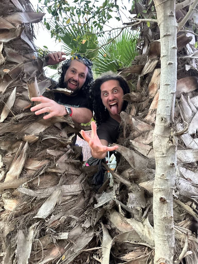 BROOKSTER / TRIXSTER🪗🐦‍🔥 tweet media