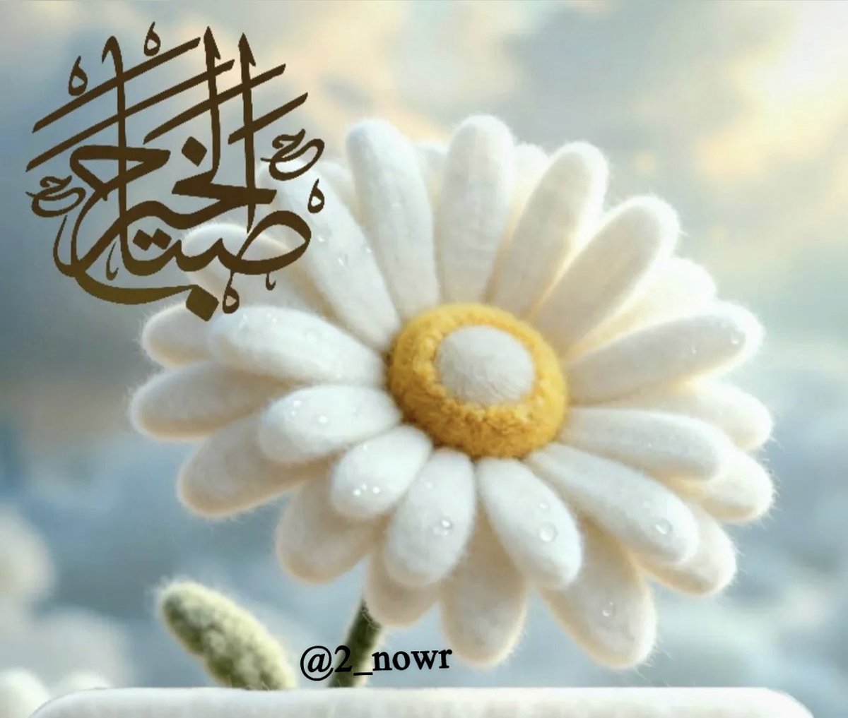  noor tweet media