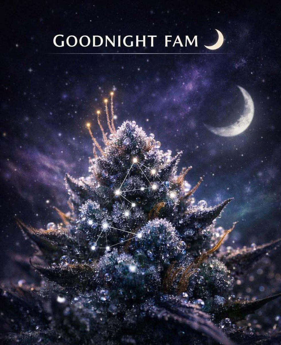 Tracy Goudreau tweet media