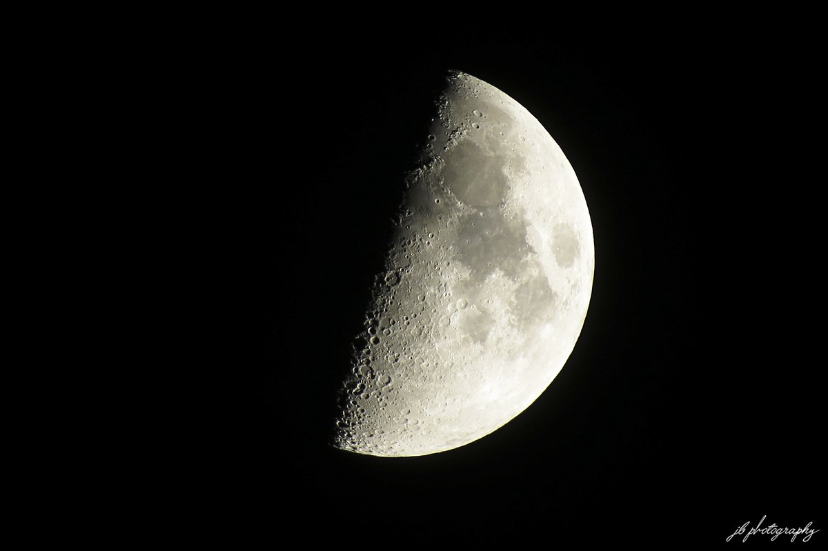 JB's Native Garden🦋 tweet media