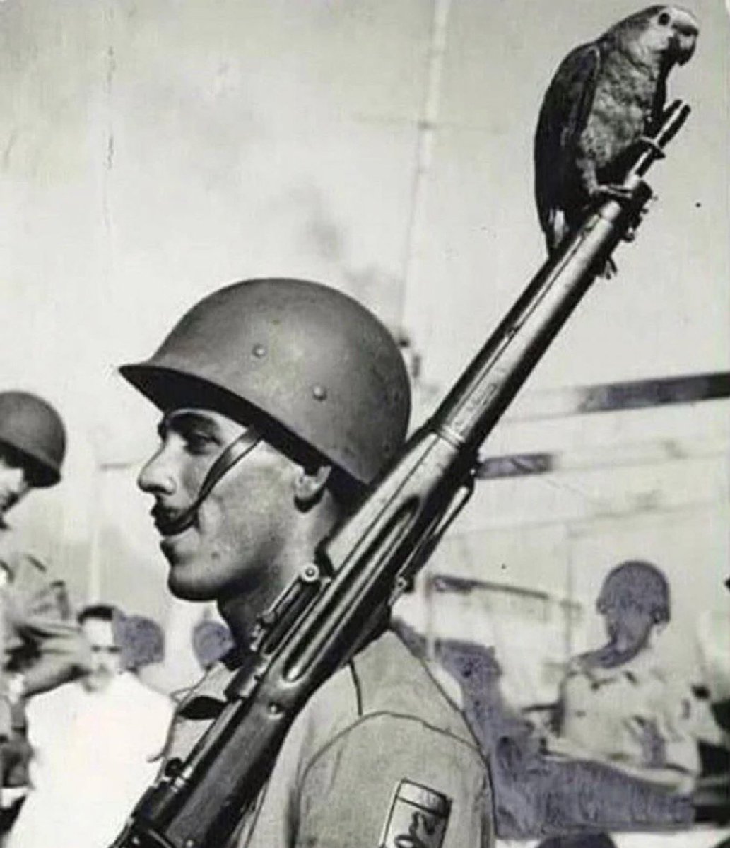 SPACE LIBERDADE  tweet media