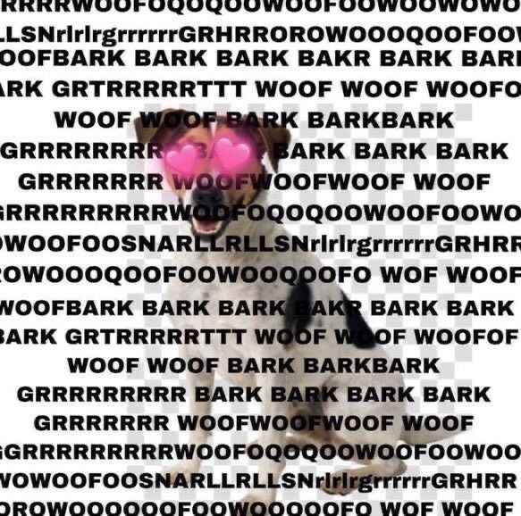 ashleey | (masih cerai) tweet media