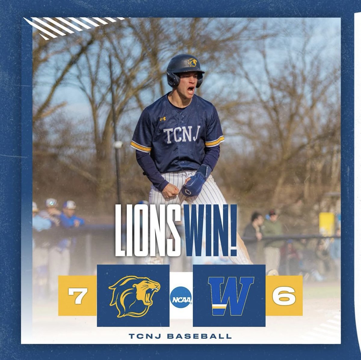 TCNJ BASEBALL tweet media