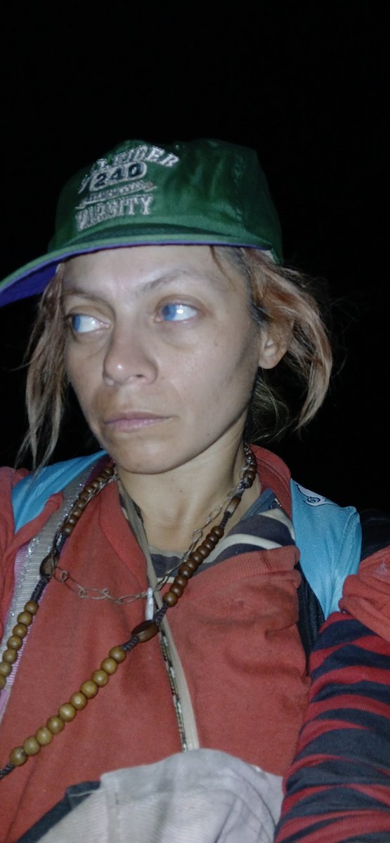 jeninasterling's tweet image. I'm so tired of the #treecutting. 🦋🌳🦋