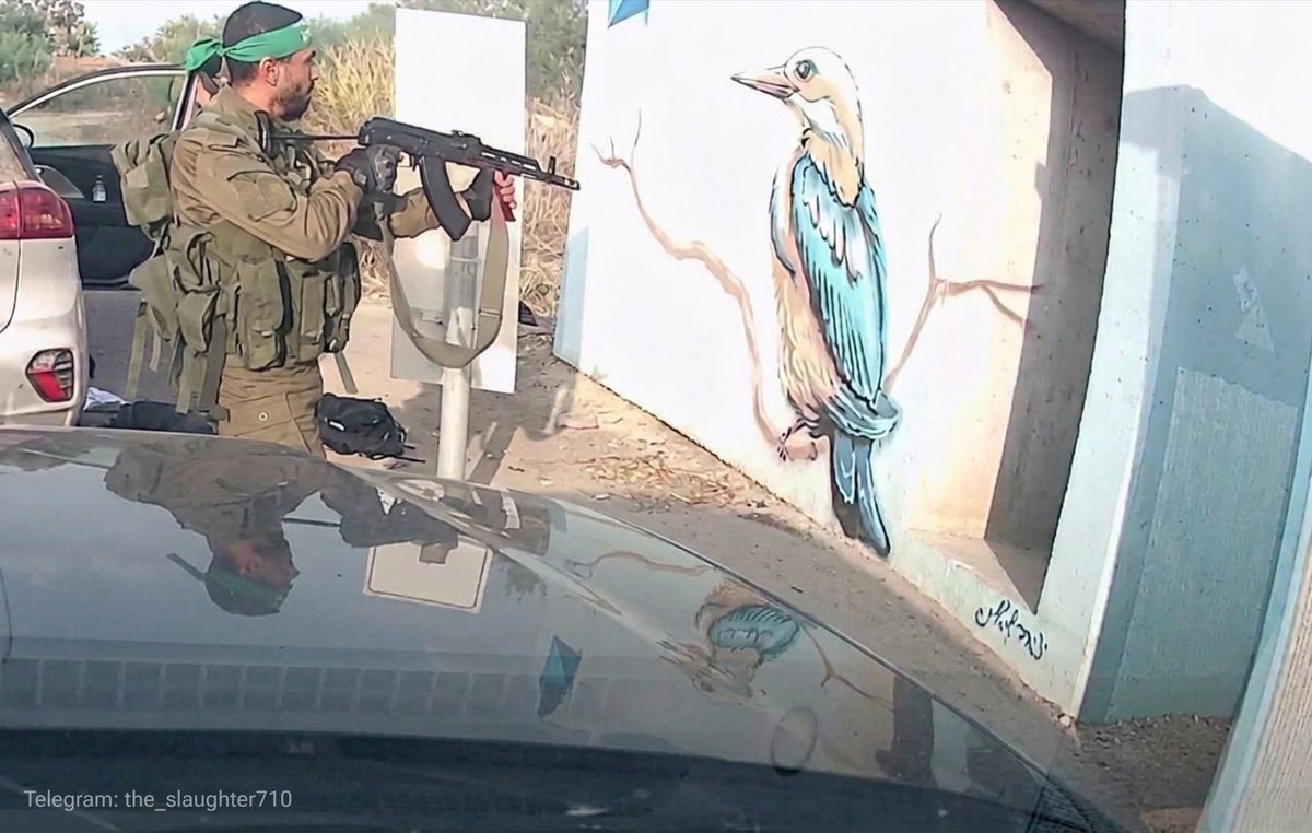 נועה מגיד | Noa magid tweet media