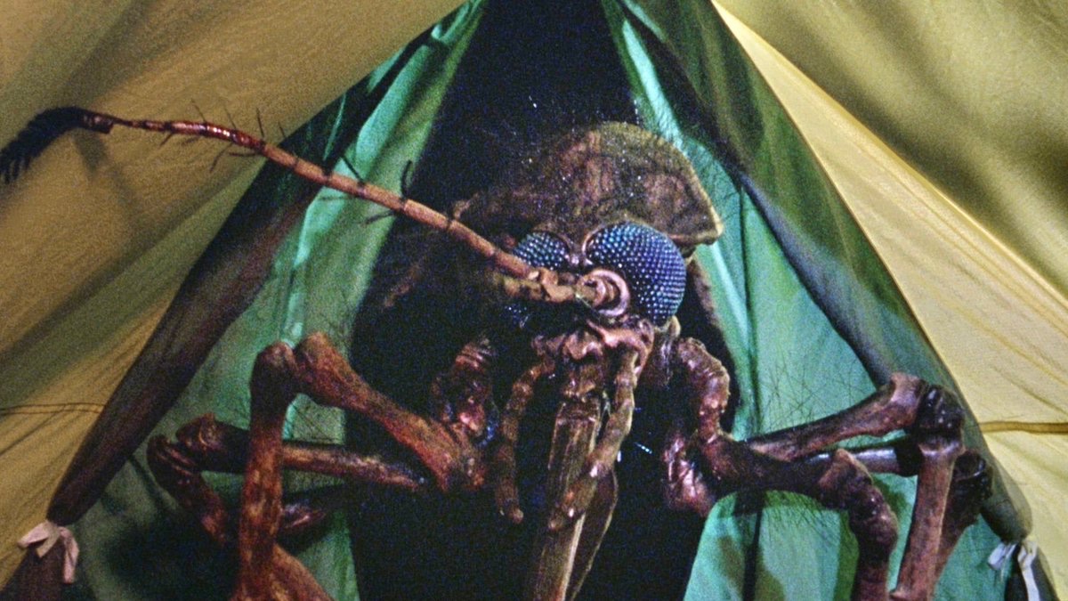 EugWSerra's tweet photo. On May 20, 1995, Mosquito was released. #Mosquito #GunnarHansen #RonAsheton
#SteveDixon #JoshBecker #RachelLoiselle #MargaretGomoll https://t.co/aZgv0zIMIE