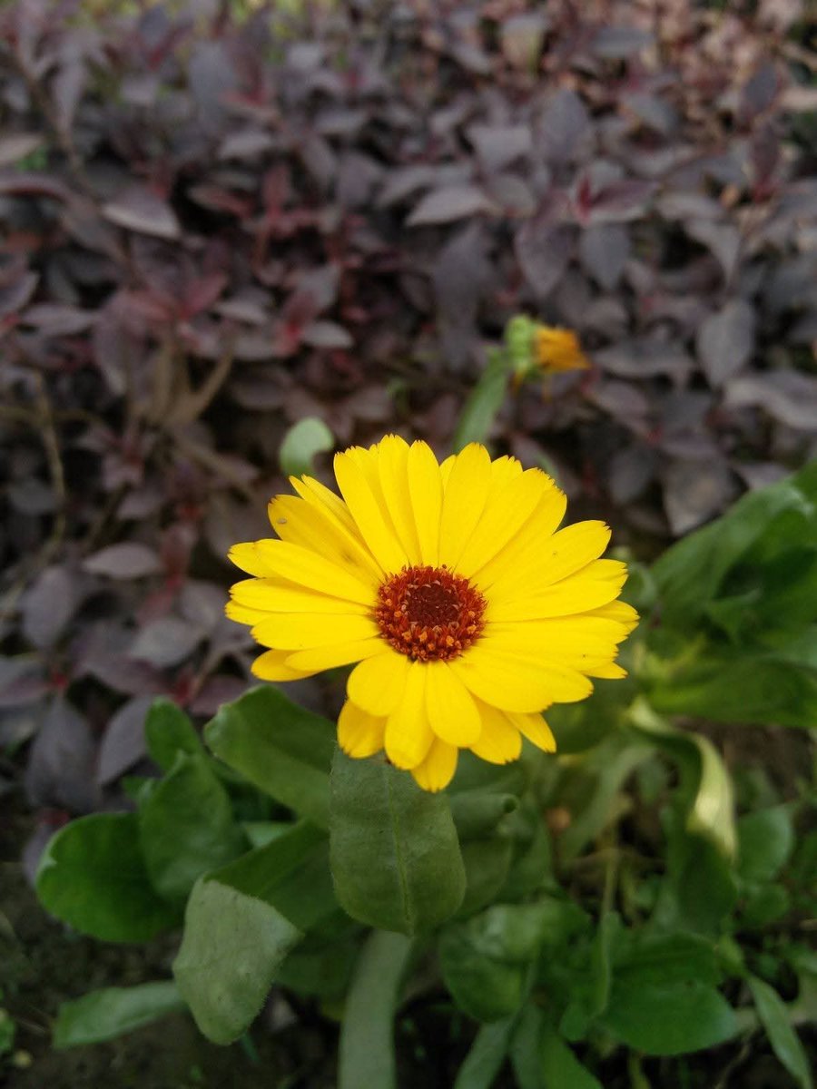 देवानां च ऋषीणां च गुरुं काञ्चनसंनिभम्।
बुद्धिभूतं त्रिलोकेशं तं नमामि बृहस्पतिम्॥

देवताओं और ऋषियों के गुरु, जो सोने के समान कांतिमान हैं, बुद्धि के प्रतीक और तीनों लोकों के स्वामी गुरु बृहस्पति को मैं नमन करता हूँ। 

आपका दिन शुभ हो।